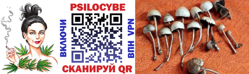 Псилоцибиновые грибы прущие грибы  Алапаевск 